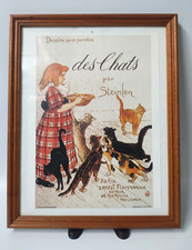 French cats kittens for sale  Seymour