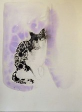 Black white cat d'occasion  Paris V