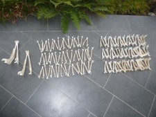 Rehgehörn unterkiefer jagdtro gebraucht kaufen  Wietmarschen