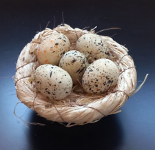 Zauberhafte sterdeko nest gebraucht kaufen  Weilheim an der Teck