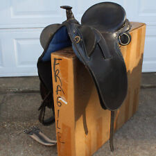 Aussie australian roping for sale  Boyce
