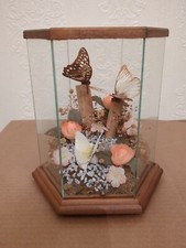 Vintage glass terrarium for sale  BLACKBURN