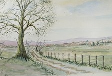 Original watercolour frosty for sale  WIRRAL