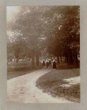 Park scene five for sale  New York
