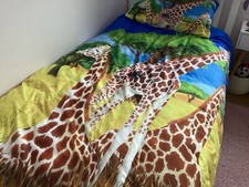Gorgeous bright colours for sale  INVERNESS