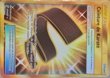 Ceinture karate 252 d'occasion  Soyaux