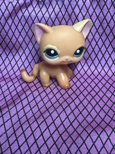 Authentique petshop chat d'occasion  Hagondange