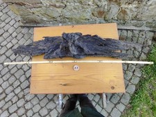 Mooreiche moorholz 110cm gebraucht kaufen  Dörentrup
