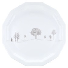 Kuchenteller rosenthal polygon gebraucht kaufen  Kappeln