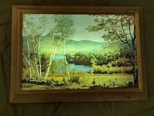 Mid century light for sale  Chariton
