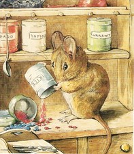 Beatrix potter tale for sale  Hanahan