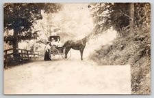 Rppc beautiful horse for sale  Scotland