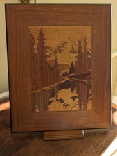 Mount rainier genuine for sale  Middlesex
