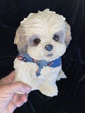 Shih tzu pup for sale  Islip