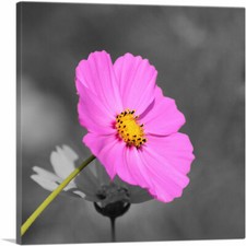 Artcanvas pink flower for sale  Niles