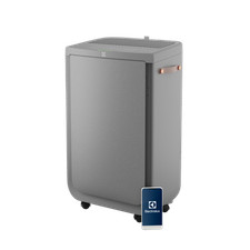 Electrolux purificatore aria usato  Vajont