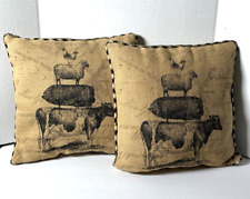 Decorative farmhouse pillows for sale  Altoona