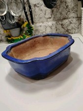 Large bonsai pot for sale  Grants Pass