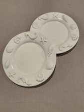 white plate seashell for sale white plate seashell for sale Lock Haven
