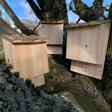 Bat box house for sale  POOLE