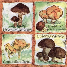 Servietten herbst pilze gebraucht kaufen  Erfurt