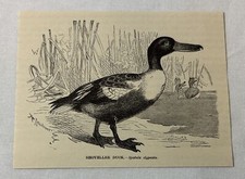 1885 book engraving for sale  Wilmington