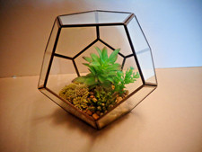 Glass terrarium faux for sale  DISS