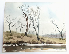 Harry buckie australian for sale  NEWTON ABBOT