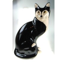 Black white cat for sale  CONSETT