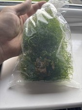 Chaetomorpha chaeto macro for sale  PRESTON
