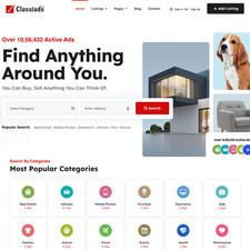 Classified websites design for sale  Elmhurst