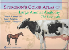 Spurgeon's Atlas 🐄 Livro veterinário de anatomia animal grande McCracken Kainer Spurgeon comprar usado  Enviando para Brazil