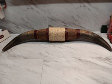 Steer horns widex for sale  Brooksville