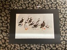 c f tunnicliffe for sale  WALSALL