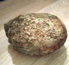 Prehistoric fossilized real for sale  Loretto
