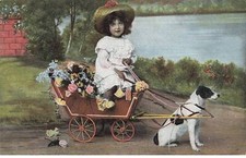 Chien fg54460 attelage d'occasion  France