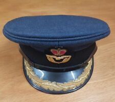 Raf officer group for sale  SWINDON