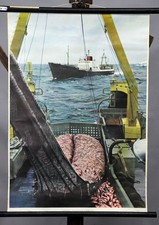 Vintage rollbare wandkarte gebraucht kaufen Vintage rollbare wandkarte gebraucht kaufen  Berghülen