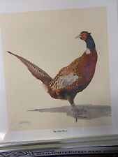 Ring necked pheasant for sale  Forest City