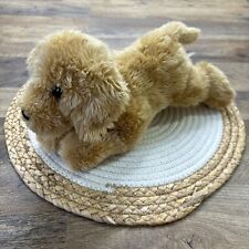 Aurora golden retriever for sale  Warwick