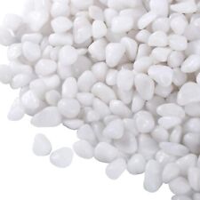 White pebbles plants for sale  New York