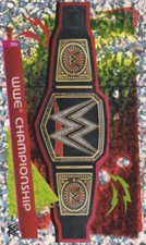 Karte 306 wwe gebraucht kaufen  Dreieich
