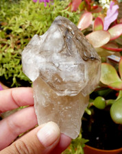 Quartz fumé sceptre d'occasion  Lagnieu