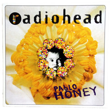 Vinyl radiohead pablo gebraucht kaufen  Westerrönfeld