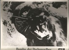 Bomba dschungelboy gebraucht kaufen  Braunschweig