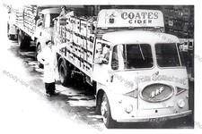 Cv726 coates cider for sale  EAST COWES