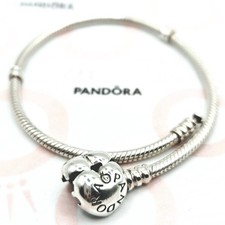 Riginal pandora moments gebraucht kaufen  Osterburken
