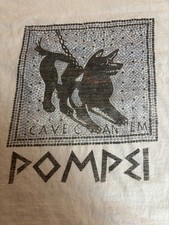 Camiseta masculina branca mosaico romano Pompeia caverna de cachorro canem M/L 20,5 PTP sem etiqueta comprar usado  Enviando para Brazil