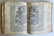 1561 pharmacopeia illustrated for sale  New Hope