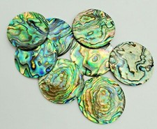 Natural abalone 25mm for sale  North Kingstown